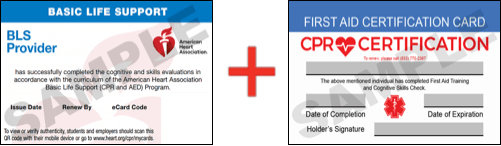 Sample American Heart Association AHA BLS CPR Card Certificaiton and First Aid Certification Card from CPR Certification Birmingham