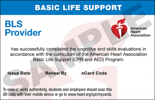 Sample American Heart Association AHA BLS CPR Card Certification from CPR Certification Birmingham