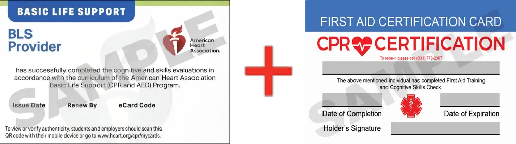 Sample American Heart Association AHA BLS CPR Card Certification and First Aid Certification Card from CPR Certification Birmingham