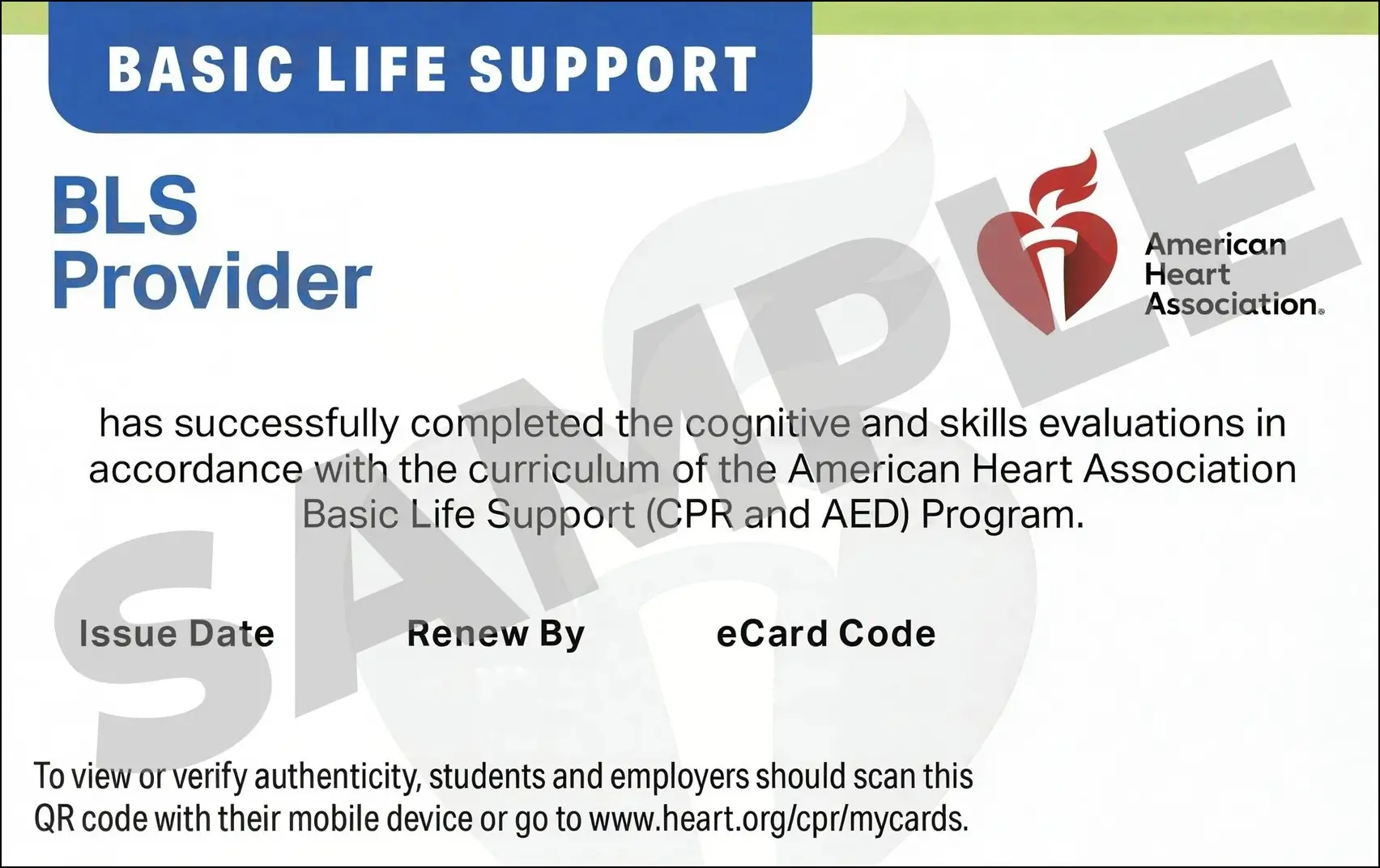 Sample American Heart Association AHA BLS CPR Card Certification from CPR Certification Birmingham